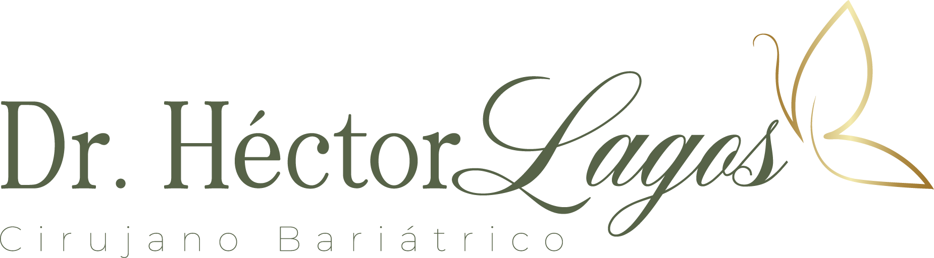 Dr. Héctor Lagos — Cirugía Bariátrica